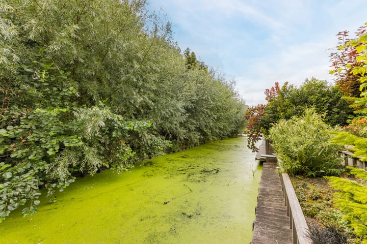 Foto 42 van Speenkruidstraat 19