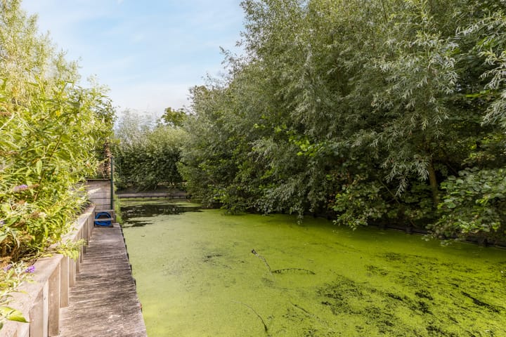 Foto 43 van Speenkruidstraat 19