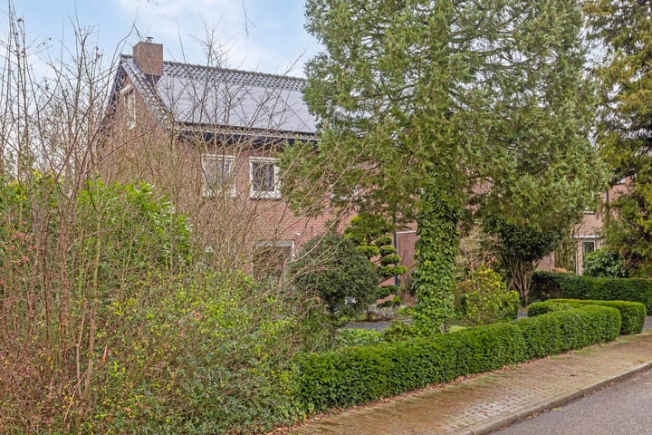 Foto 30 van Smidse 25