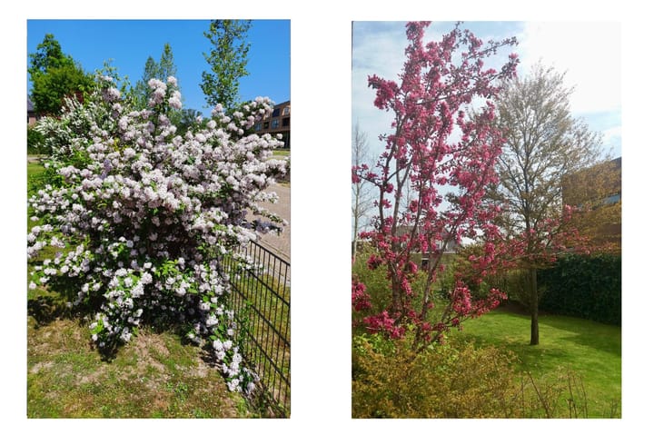 Foto 48 van Hendrick de Keyserlaan 18