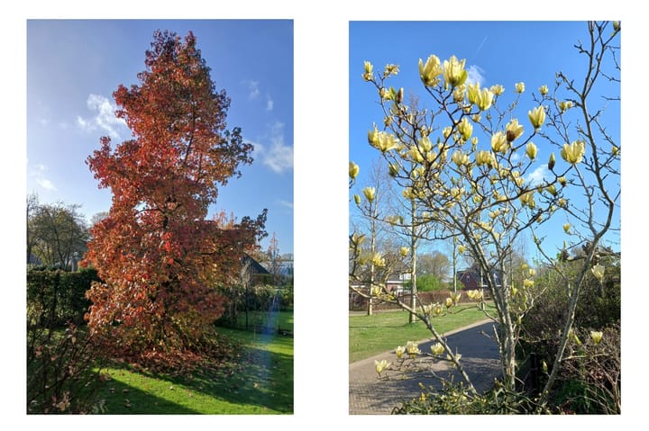 Foto 49 van Hendrick de Keyserlaan 18