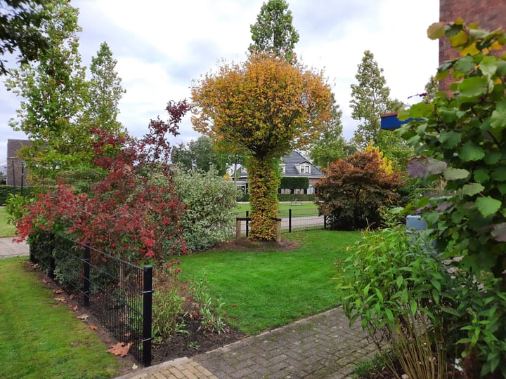 Foto 50 van Hendrick de Keyserlaan 18