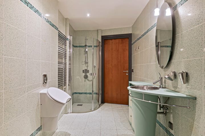 Foto 23 van De Scheifelaar 207