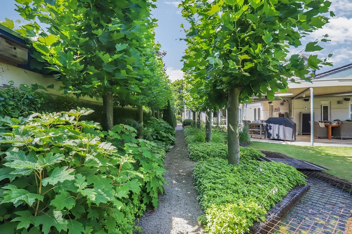 Foto 53 van De Scheifelaar 207