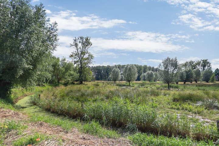 Foto 55 van De Scheifelaar 207