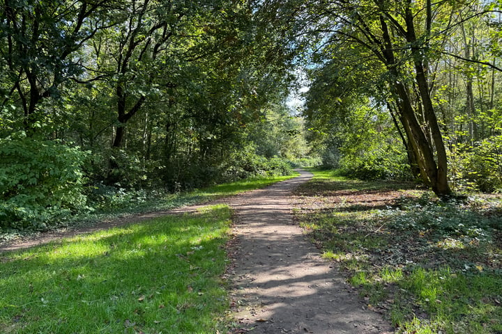 Bekijk foto 41 van Wolfsenwaard 10