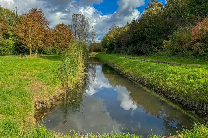 Bekijk foto 42 van Wolfsenwaard 10