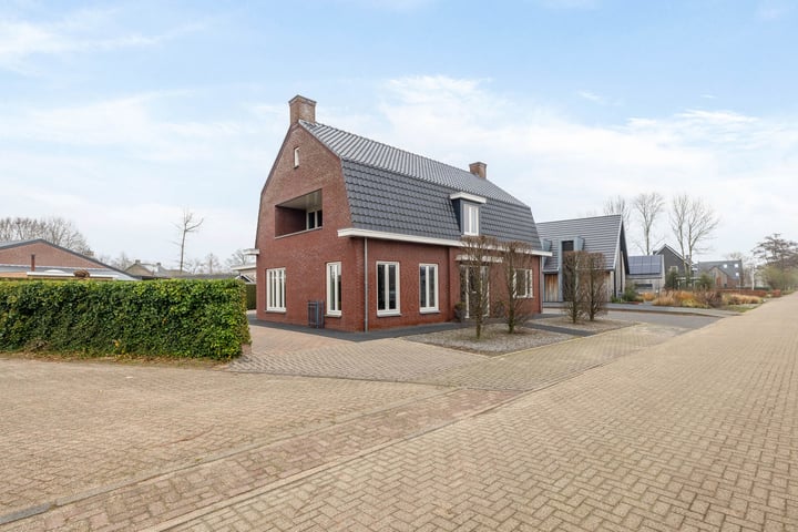 Peelstraat 3