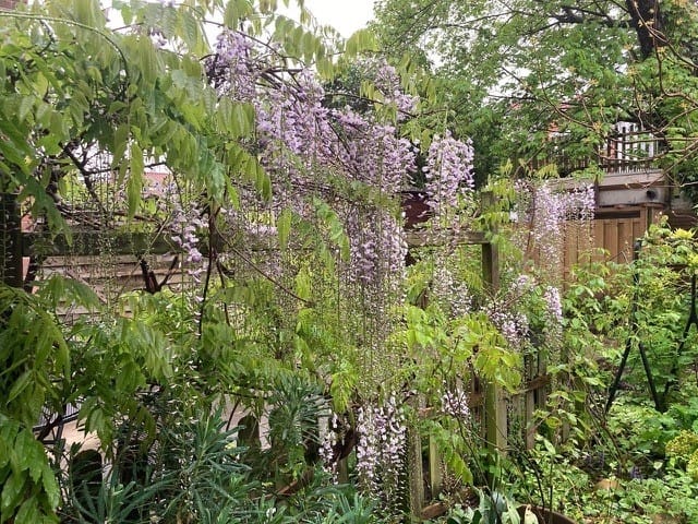 Foto 15 van Bronkhorststraat 23