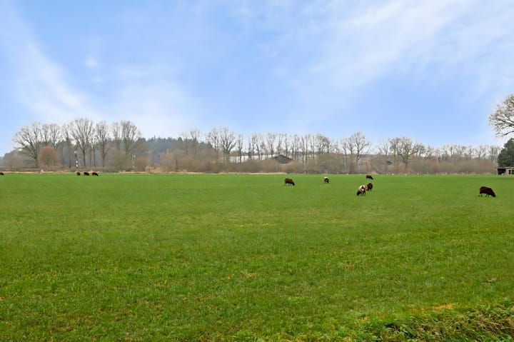 Foto 37 van Kapelstraat 10