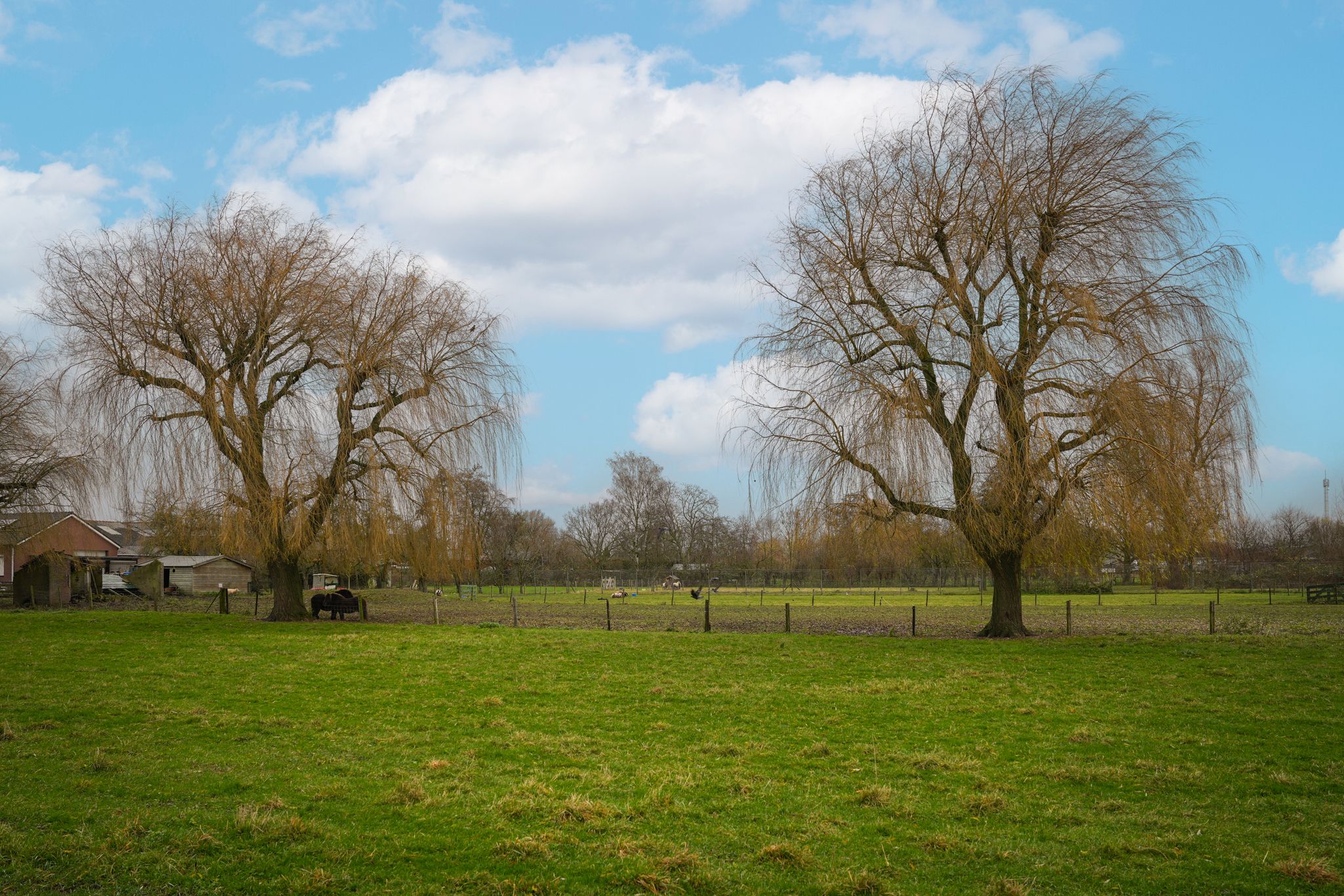 Foto 39 van Hofhooistraat 15