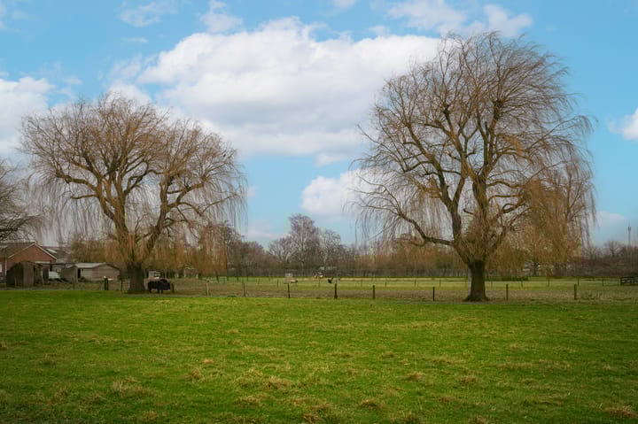 Foto 39 van Hofhooistraat 15