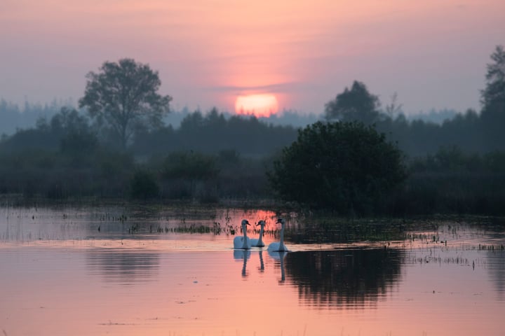 Bekijk foto 34 van Horstlaan 6