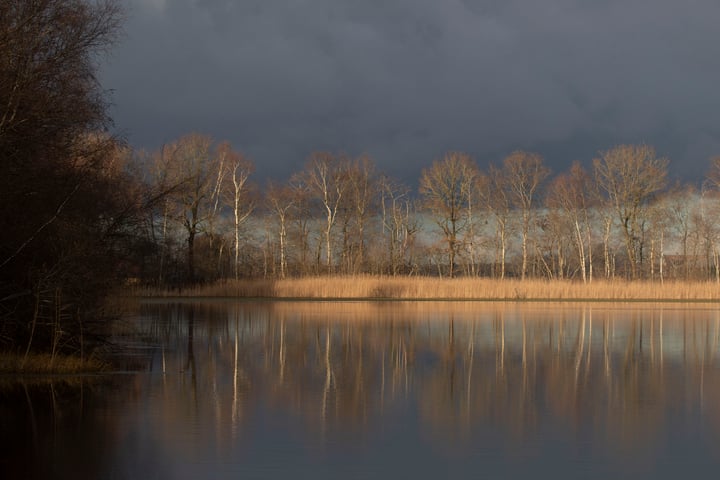 Bekijk foto 32 van Horstlaan 6