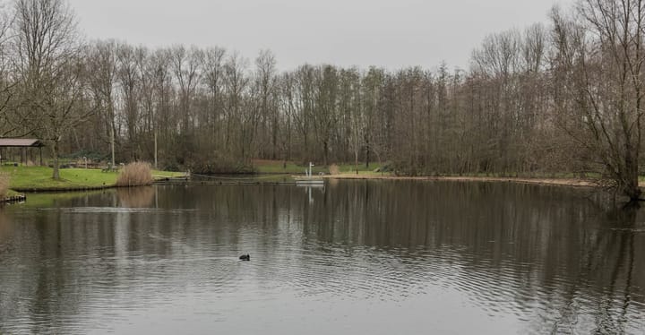 Foto 6 van Beverwaardseweg 306