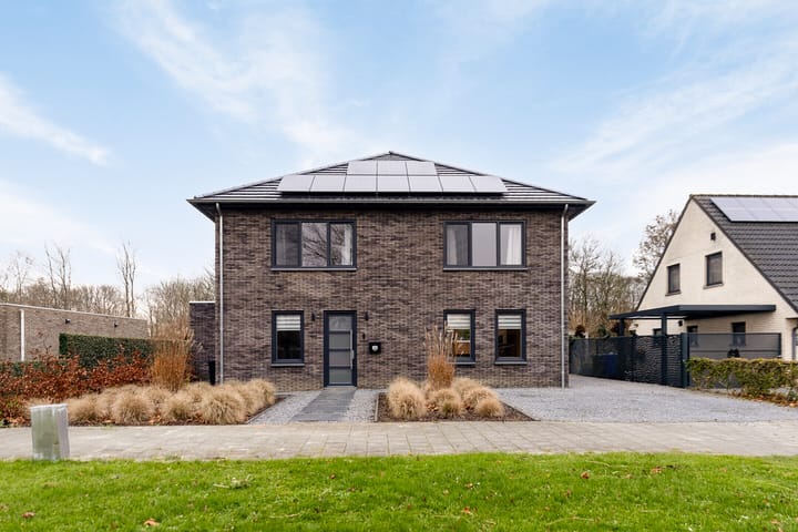Beneluxstraat 118