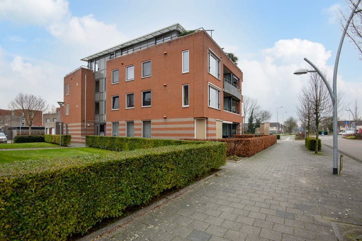 Foto 19 van Lobeliastraat 14