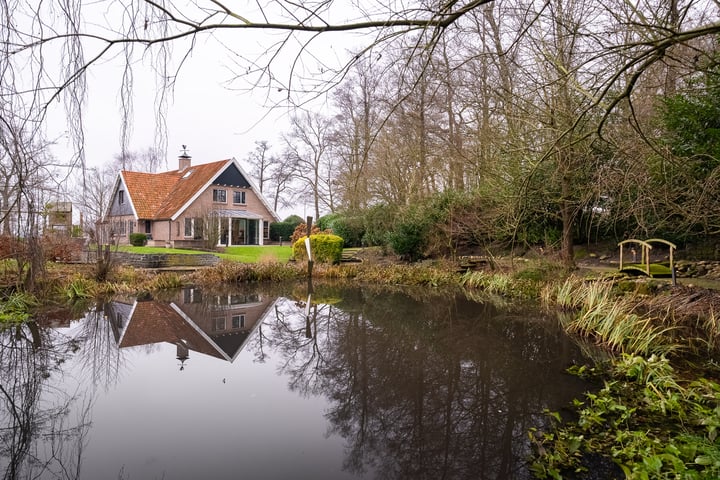 Bekijk foto 50 van Langeveenseweg 119