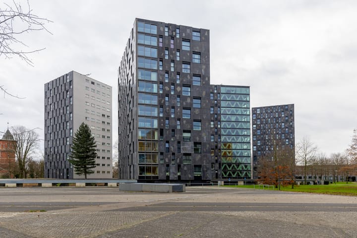 Foto 6 van Nonnenveld 449