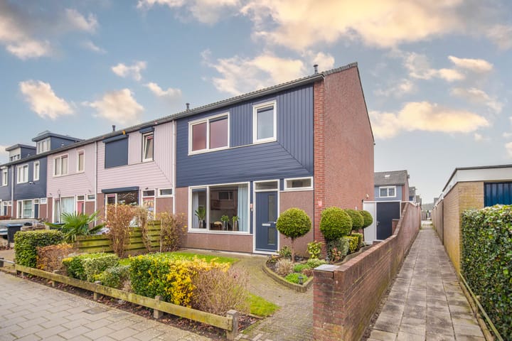 Foto 1 van Johan de Wittstraat 31