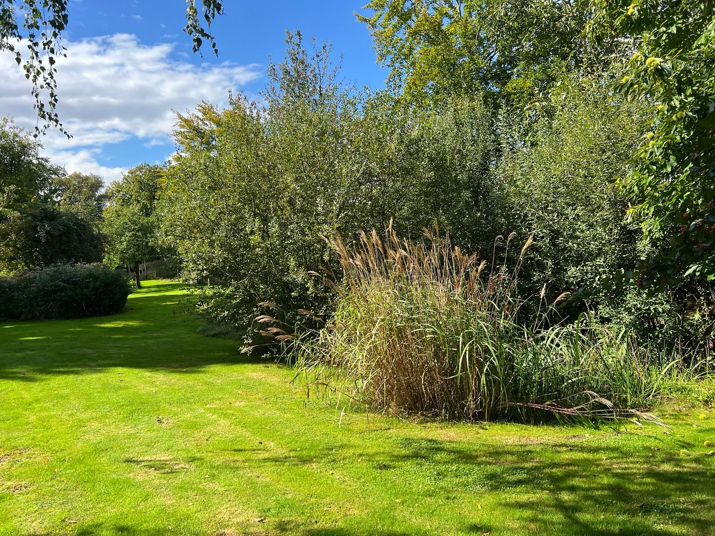 Foto 100 van Groningerweg 8