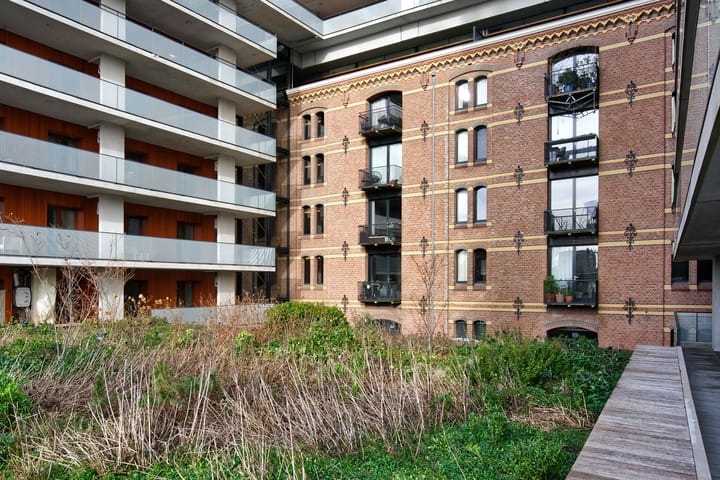 Foto 10 van Purperhoedenveem 24