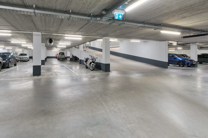 Foto 25 van Purperhoedenveem 24