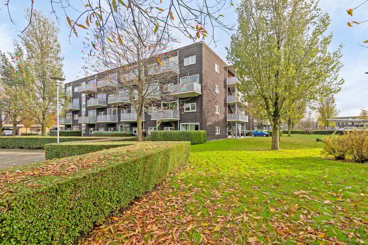 Foto 5 van Muiderstraat 93