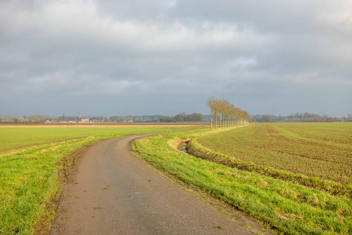 Foto 51 van Rondestraat 40