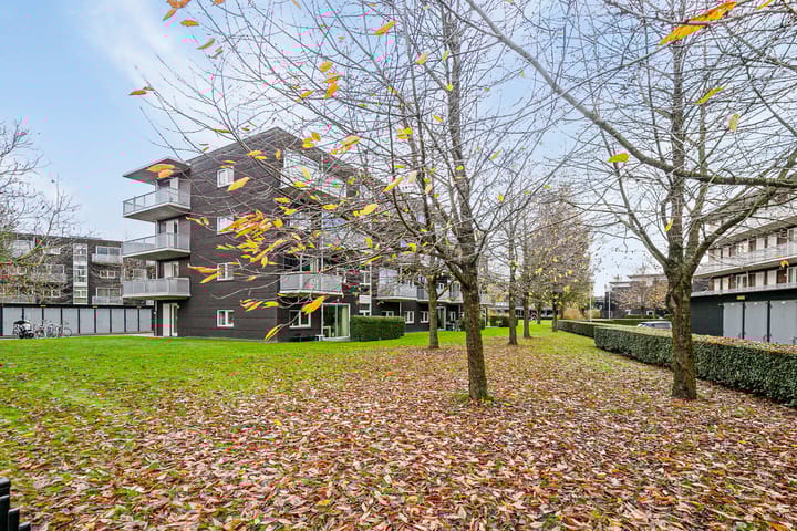 Foto 30 van Muiderstraat 93