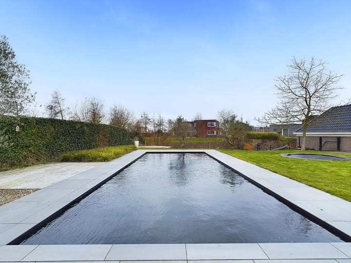 Foto 54 van Waterviolier 2