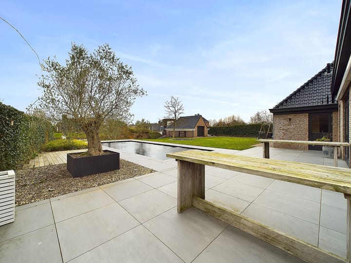 Foto 55 van Waterviolier 2