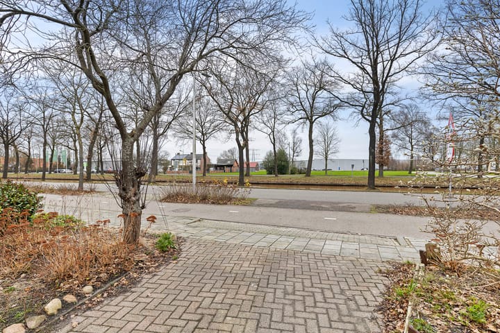 Photo 6 of Zandberg 28