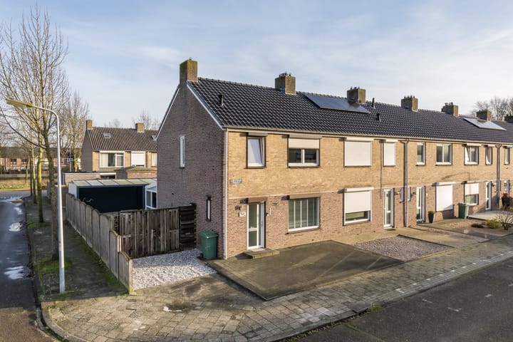 undefined main image