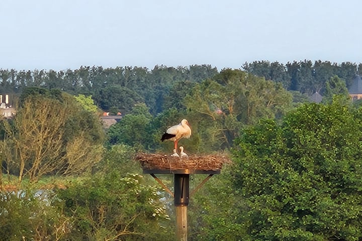 Bekijk foto 42 van de Weem 15