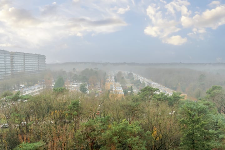 Bekijk foto 25 van Laan van Vollenhove 490-BIS