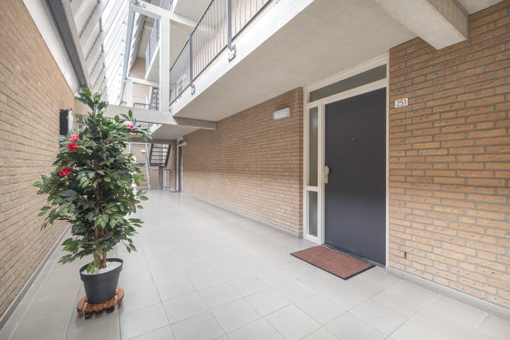 Foto 18 van Bongerdstraat 251