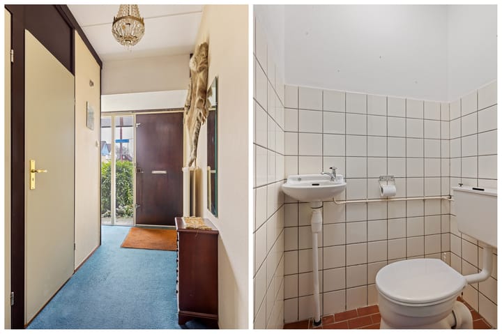 Foto 9 van Kattebos 160