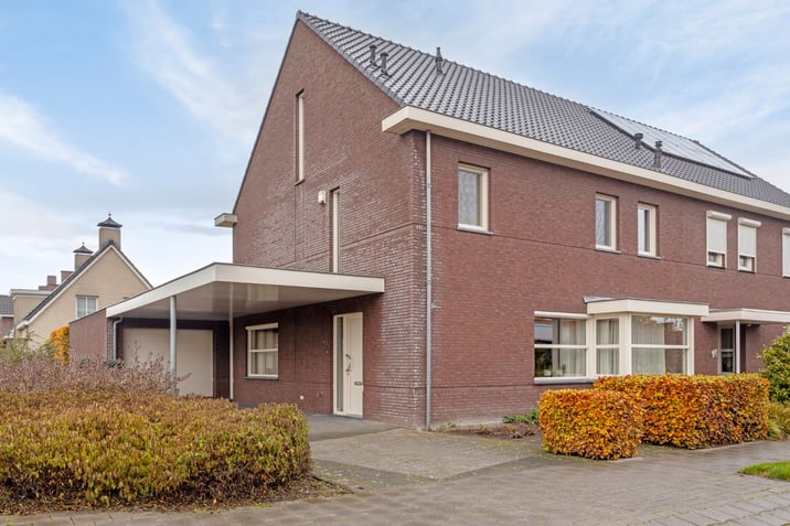 undefined main image