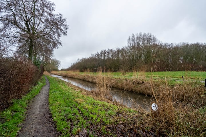 Bekijk foto 39 van Fultsemaheerd 38