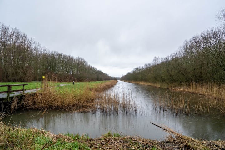 Bekijk foto 40 van Fultsemaheerd 38