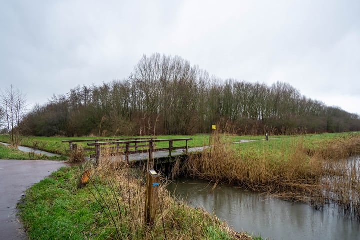 Bekijk foto 41 van Fultsemaheerd 38