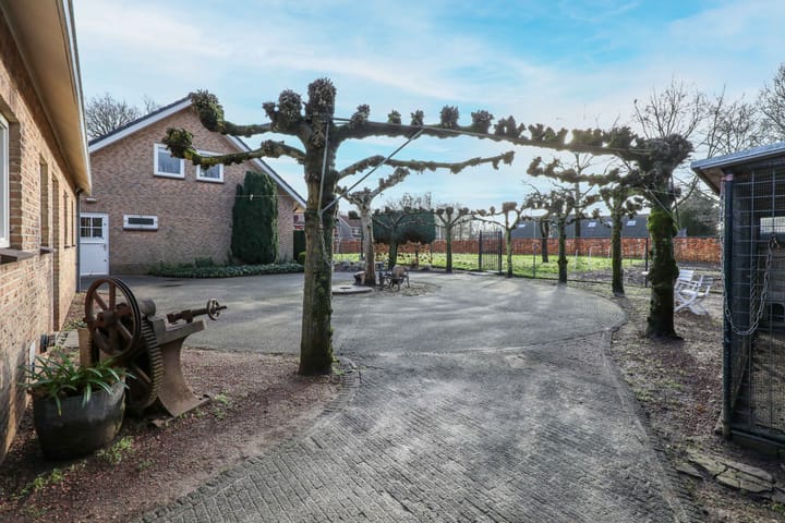 Foto 41 van Zevenhuizerstraat 61