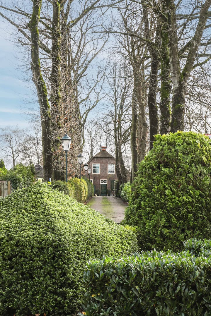 Foto 47 van Zevenhuizerstraat 61