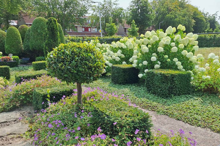 Foto 49 van Zevenhuizerstraat 61