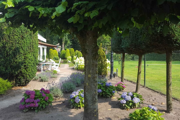 Foto 50 van Zevenhuizerstraat 61