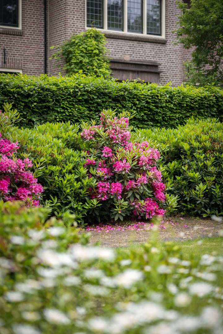 Foto 46 van Eperweg 30