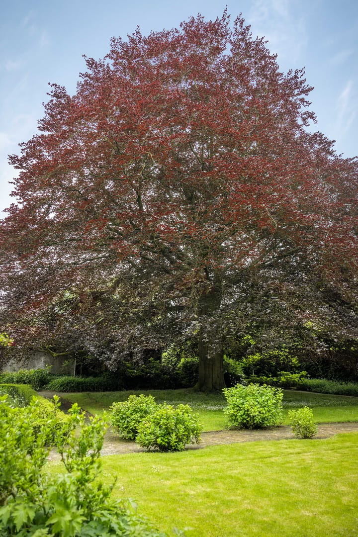 Foto 49 van Eperweg 30