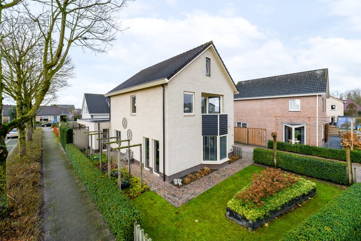 Foto 2 van Tureluur 2-A