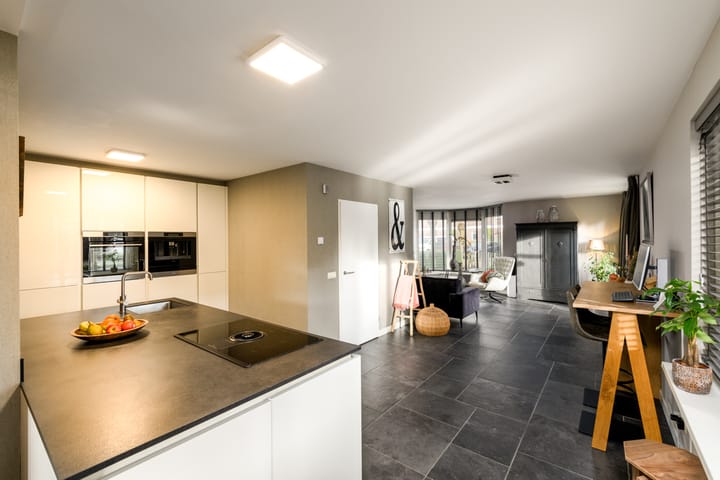 Foto 6 van Tureluur 2-A